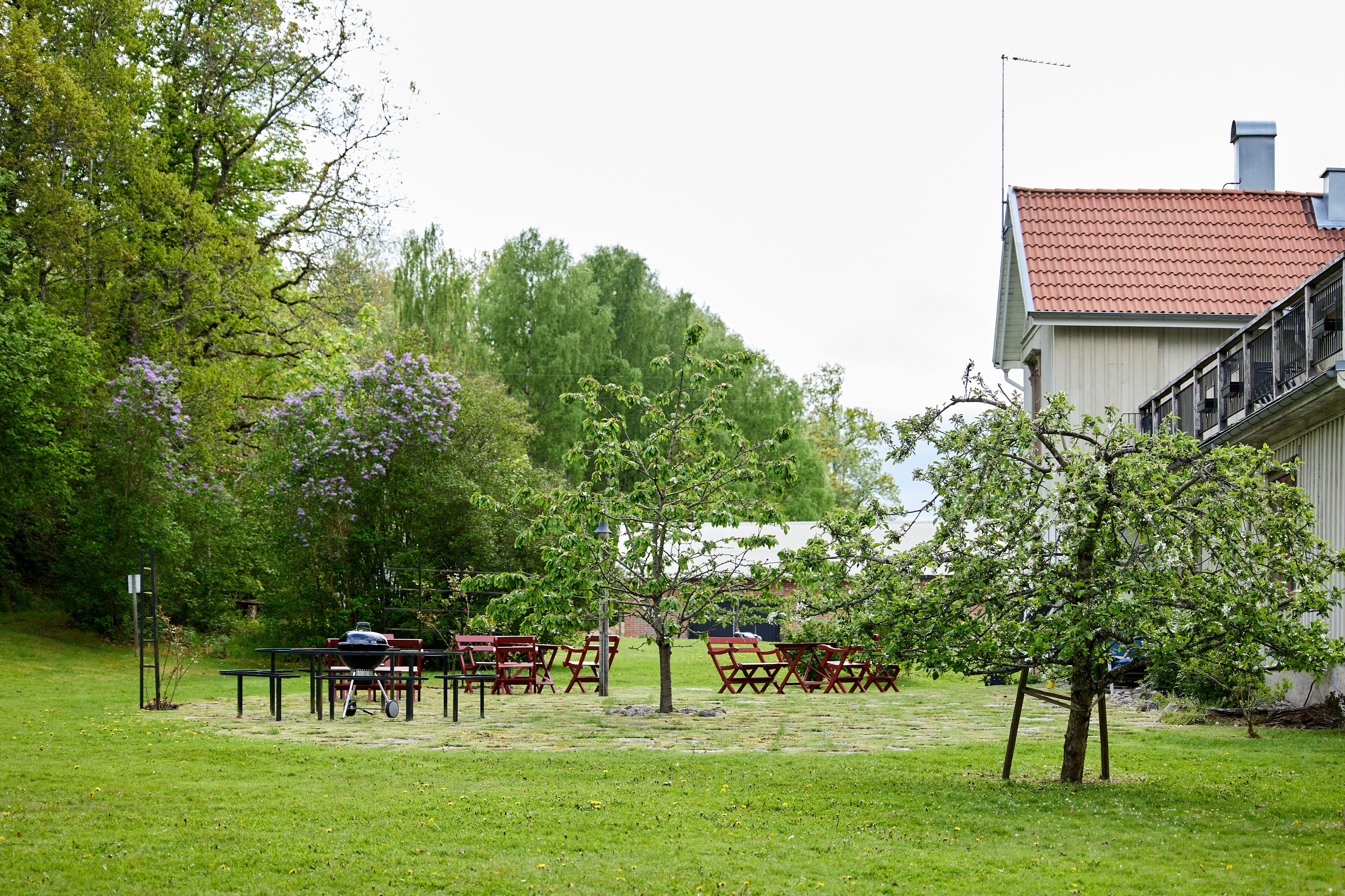 Een gazon met picknicktafels en stoelen, omringd door bomen en een gebouw met een rood dak.