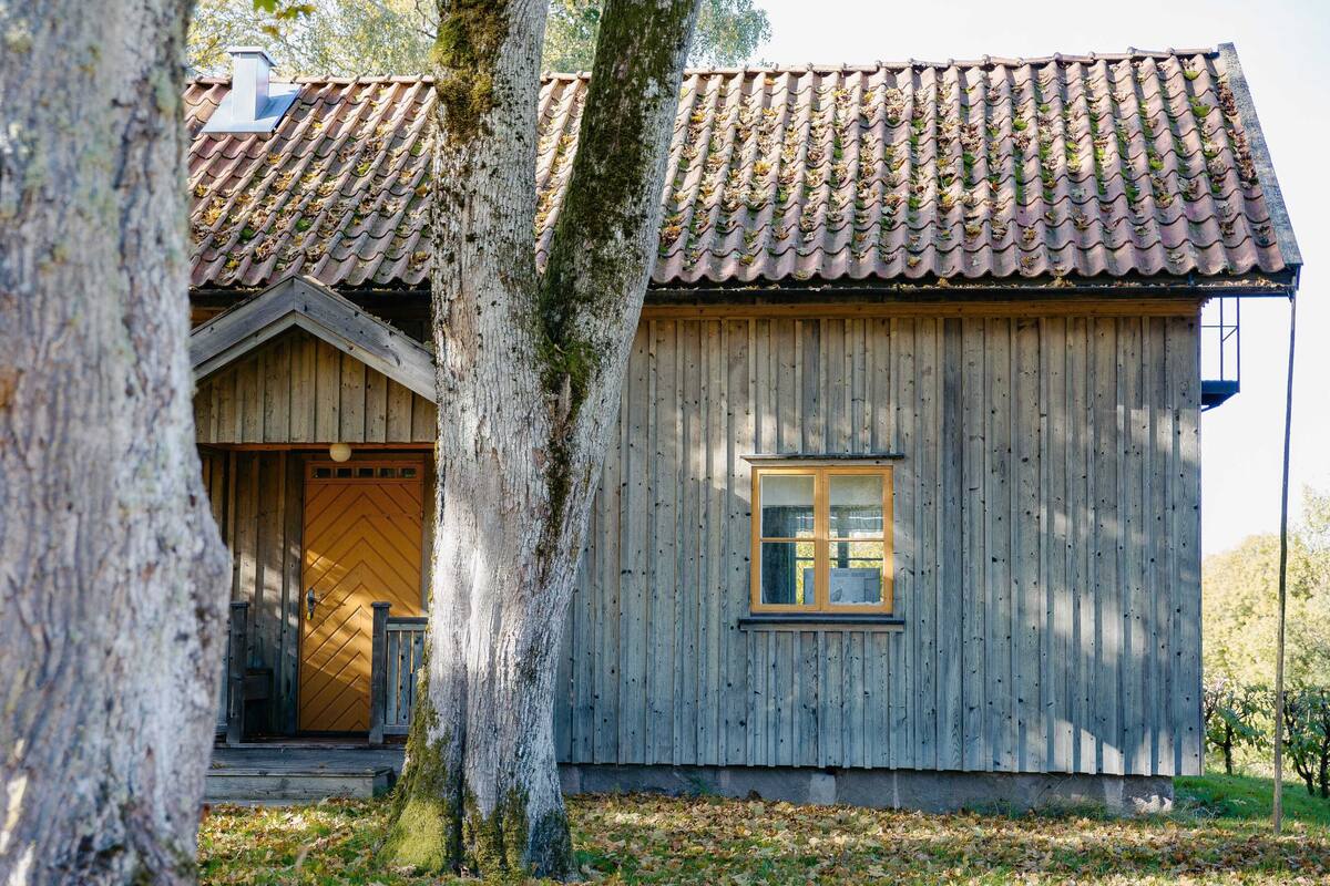 A wooden cabin with a tiled roof, a window, and a door.