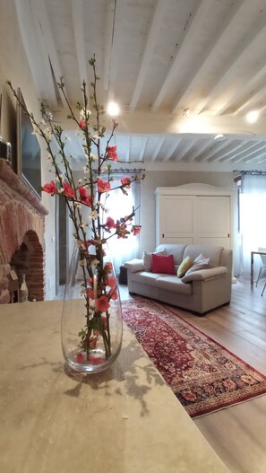 Smart TV, books, music library, video library