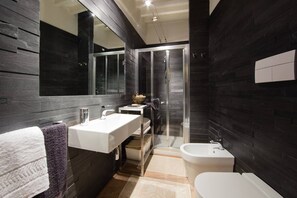 Regadera, secadora de cabello, bidet, toallas 