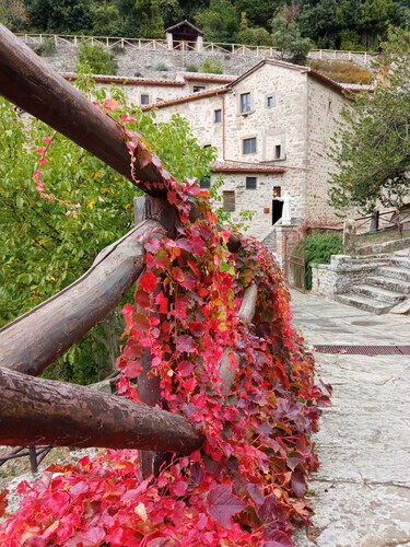 Apartment Me and You Cortona (with romantic outdoor shower on private courtyard)