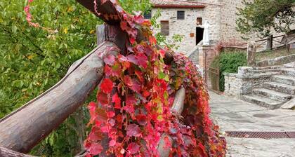 Apartment Me and You Cortona (with romantic outdoor shower on private courtyard)