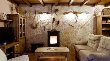 Televisie, een open haard, een dvd-speler en boeken