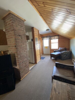 TV, fireplace, video games, DVD player