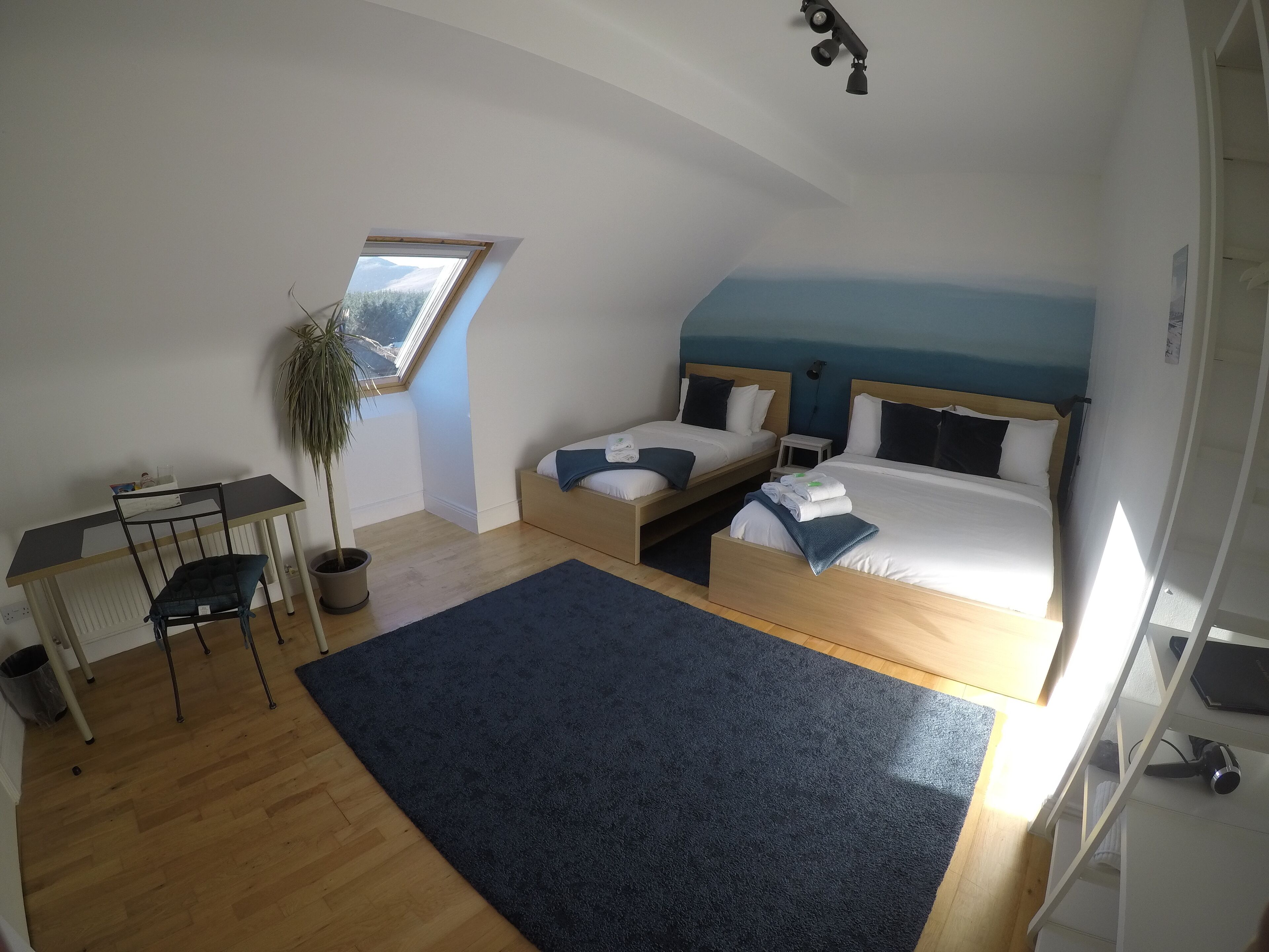 Une chambre avec deux lits, un bureau, une chaise, une plante en pot et une vue sur le ciel grâce à une lucarne.