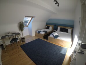 A bedroom with two beds, a desk, a chair, a potted plant, and a view through a skylight.