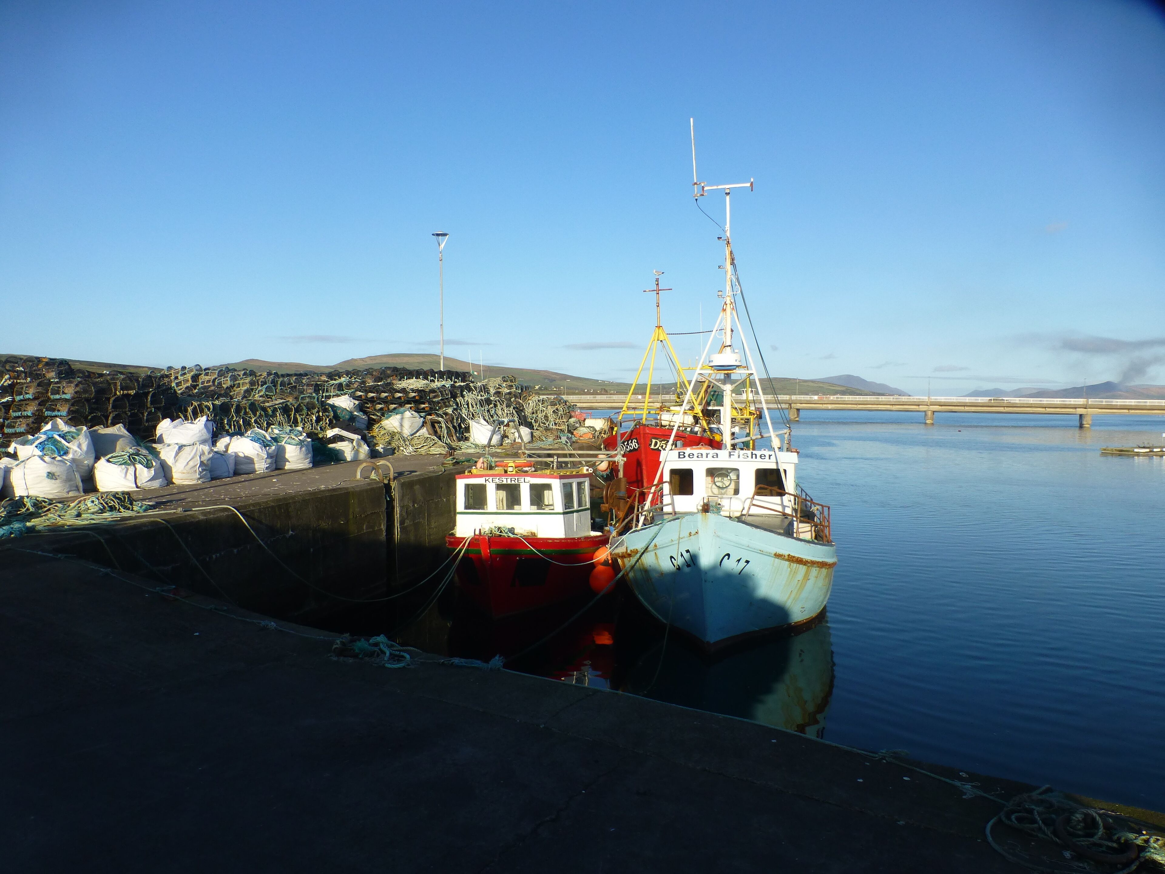 A harbor with boats docked, a bridge in the background, and a calm water body.