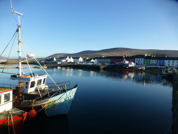 Land view from property - Seagull Cottage B&B (Portmagee)