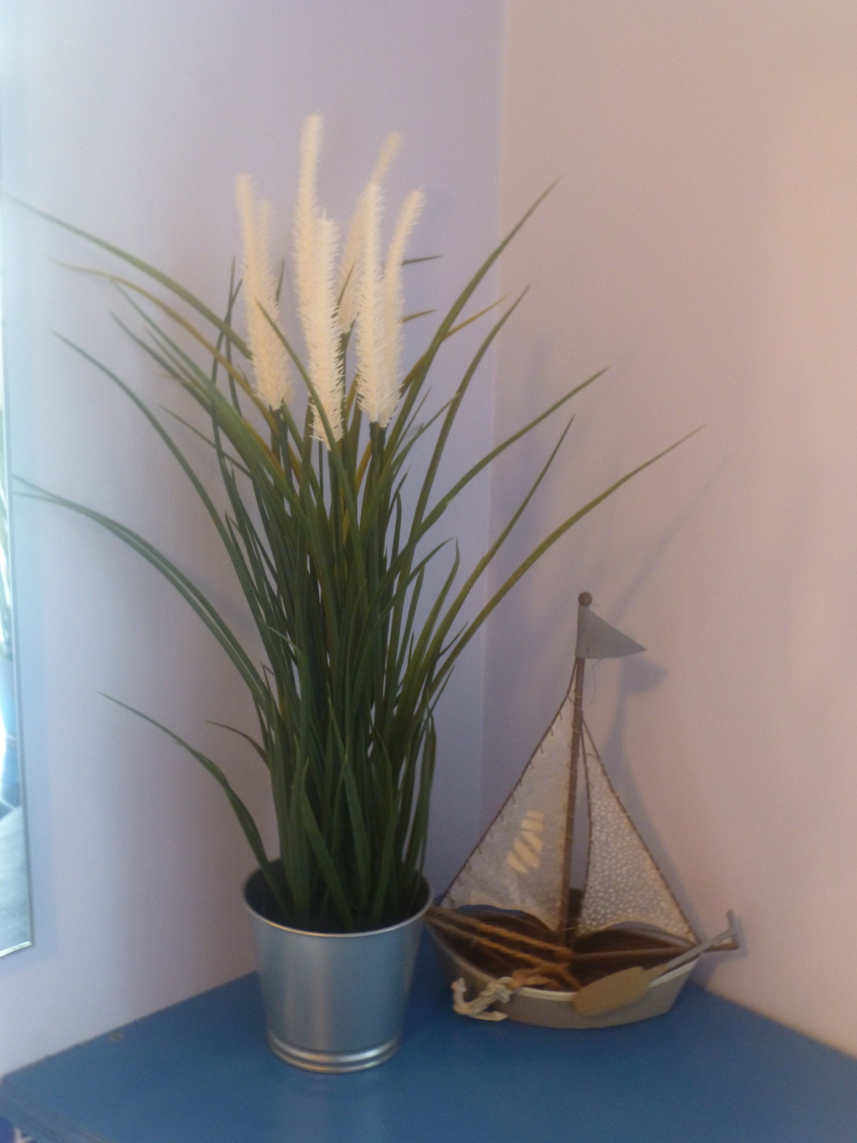 A potted plant with long green leaves and white fluffy flowers, a small sailboat model, and a blue surface.