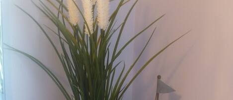 A potted plant with long green leaves and white fluffy flowers, a small sailboat model, and a blue surface.