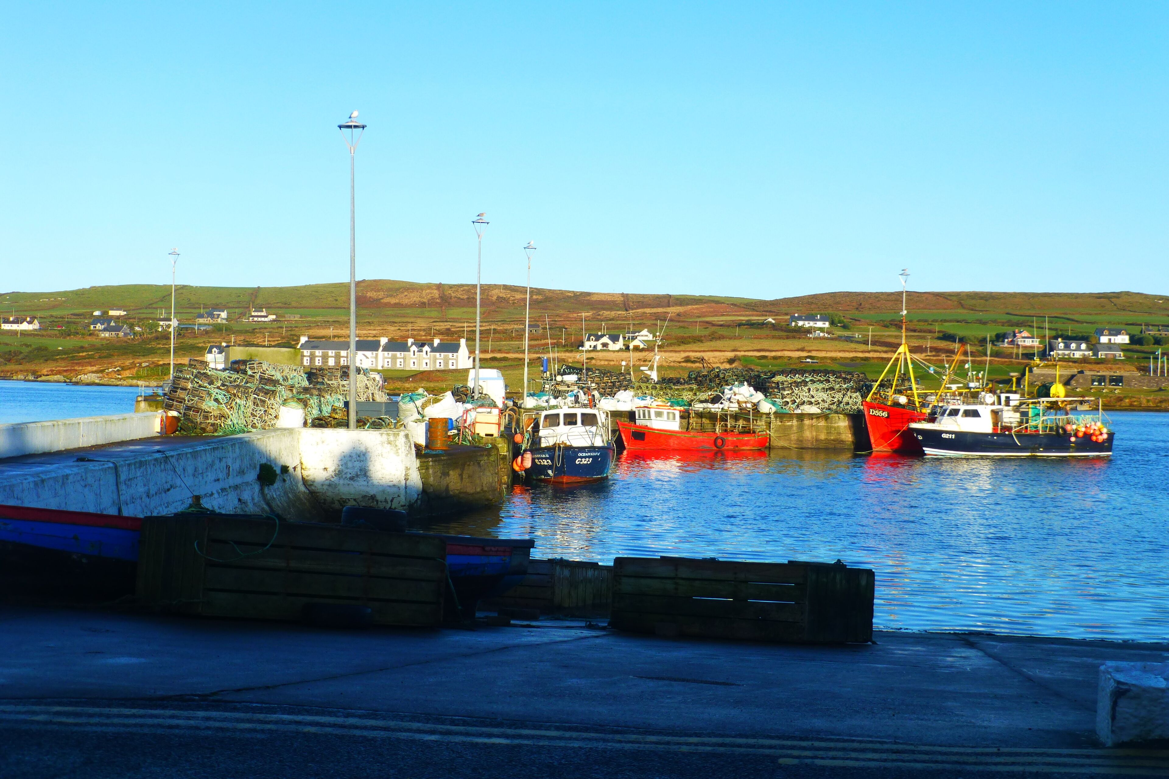 إطلالة على الشارع من المنشأة