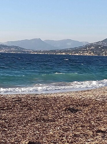 Studio 4 pers sea view, parking, wifi, air conditioning, household linen provided.