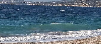 Studio 4 pers sea view, parking, wifi, air conditioning, household linen provided.