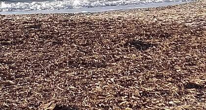 Studio 4 pers sea view, parking, wifi, air conditioning, household linen provided.