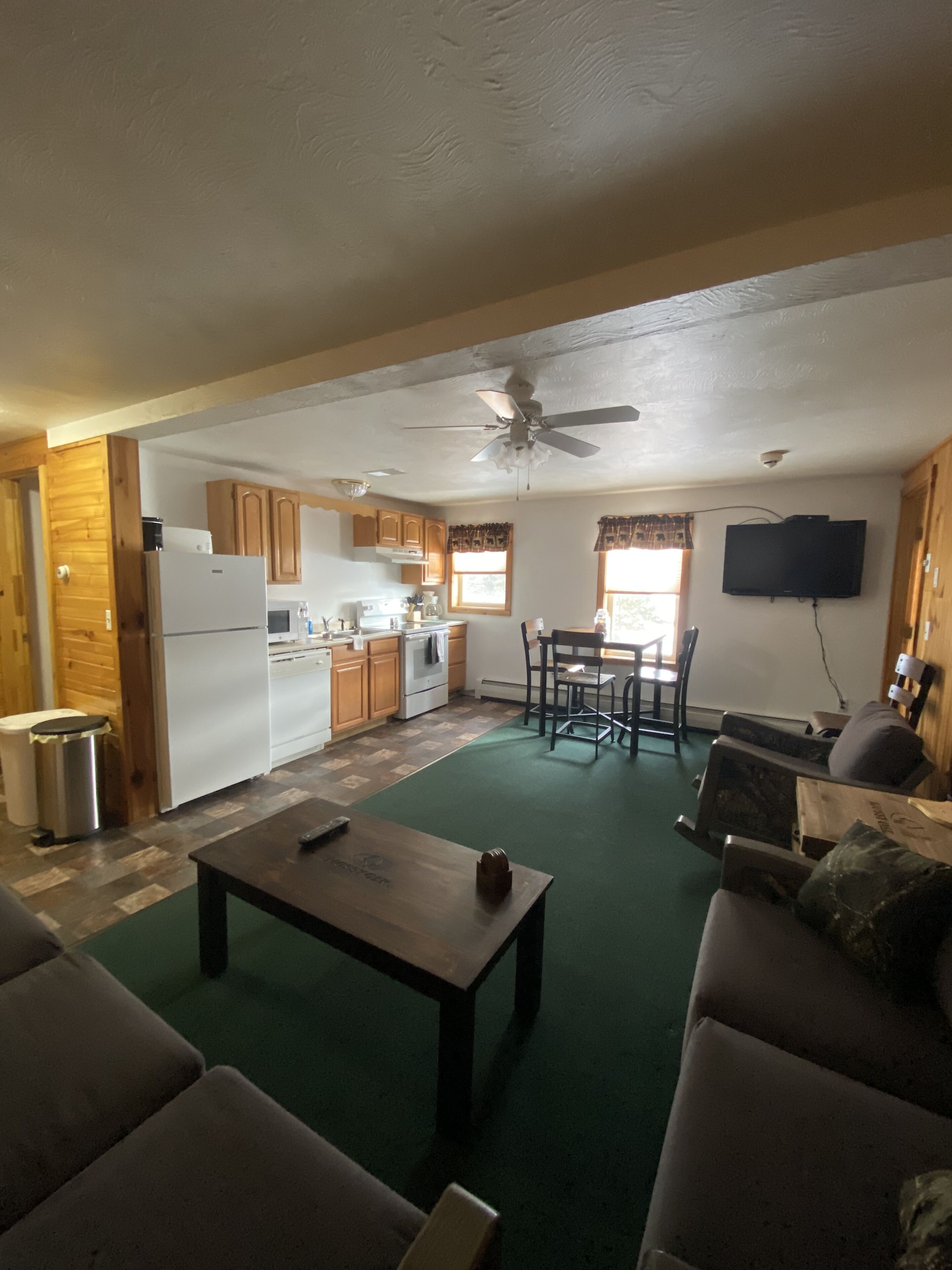 TV, fireplace, DVD player, books
