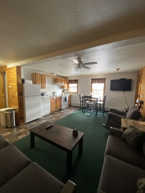 TV, fireplace, DVD player, books