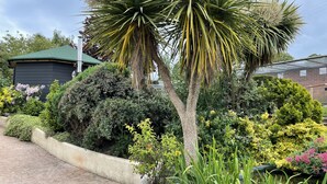A garden with various plants, a pathway, and a building with a green roof. - Studio in the idyllic countryside 2 miles from the beach in Devon with Hot Tub (East Budleigh)