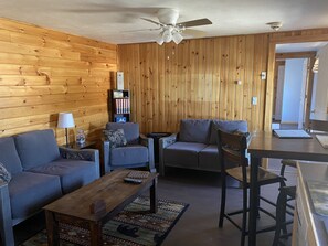 TV, fireplace, video games, DVD player - Majestic recreational Lodging w/ Snowmobile and Side x Side rentals on Long Lake (Sinclair)