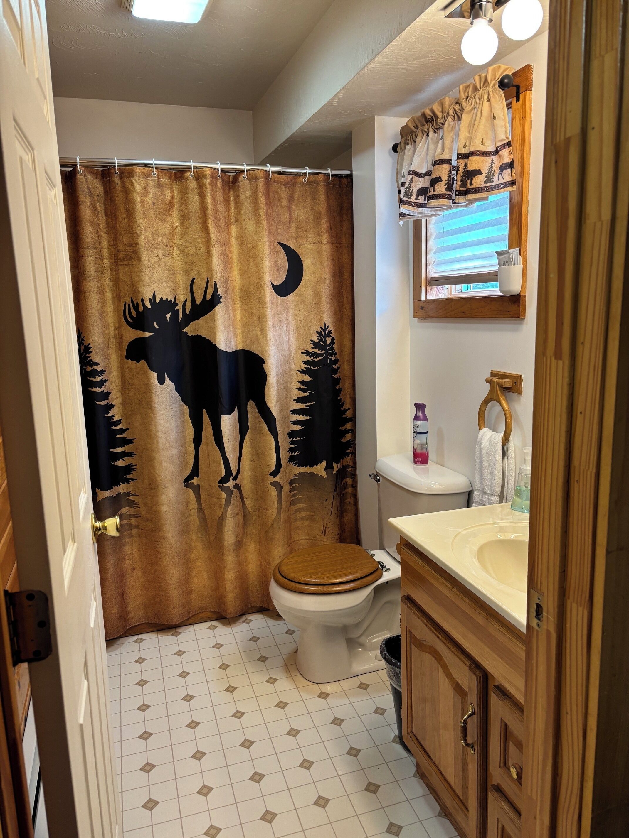 Combined shower/tub, hair dryer, towels, soap