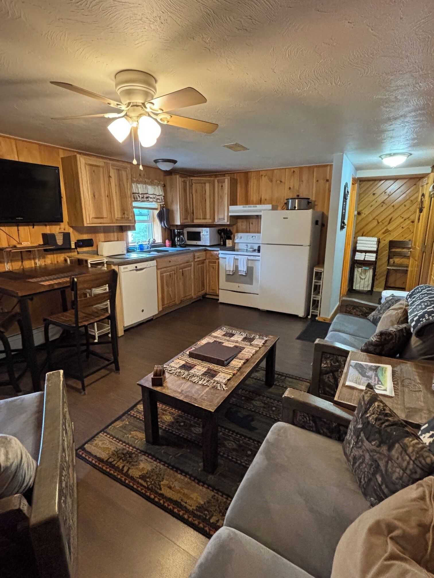 TV, fireplace, video games, DVD player