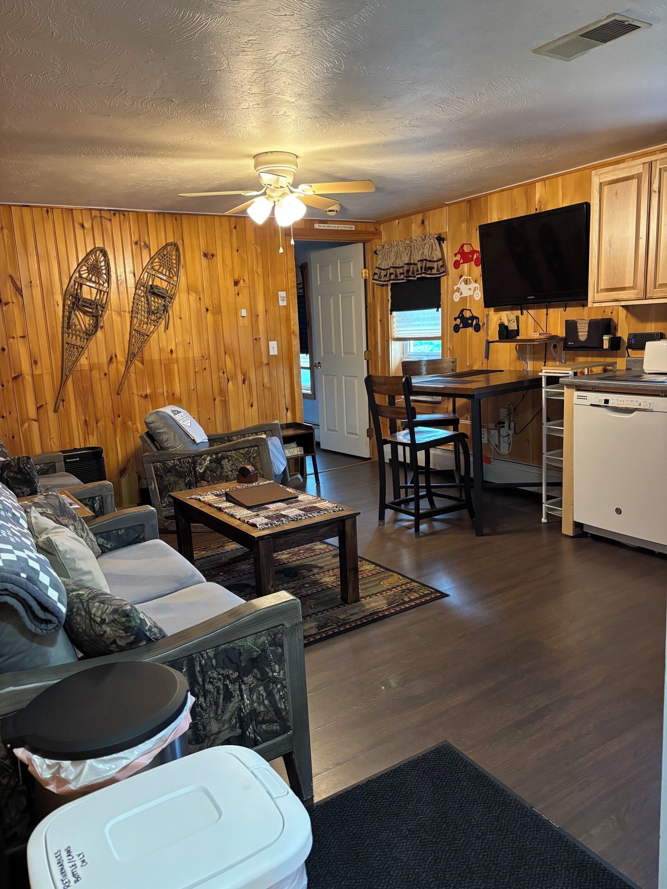 TV, fireplace, video games, DVD player