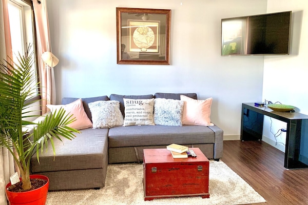 Settle in with the Roku TV as well as an IPTV to watch your favourite movies and TV shows!