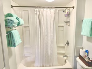 Ensemble douche/baignoire, sèche-cheveux, serviettes fournies, savon