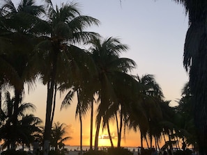 Exterior - Beach Front Fully Equipped Suite R-1 (Centro - Supmza. 001)