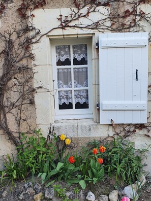 Detalle exterior