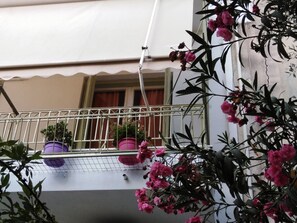 Exterior detail - Boutique Lounge Apartment-Two Dwelling town House!  (Athina)
