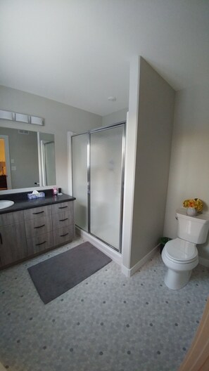 Combined shower/tub, hair dryer, towels, soap - New Home for Business Exec, Professional or Family - Close to U of S and RUH (Saskatoon)