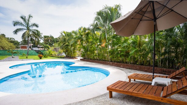 A swimming pool with lounge chairs and an umbrella, surrounded by palm trees and greenery. - Capital O Hotel Los Caracoles, Acapulco (Acapulco)