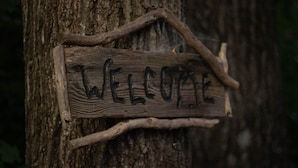 A wooden sign with the word "WELCOME" attached to a tree. - Van Glamping - AC, Heat and Power! (Landrum)