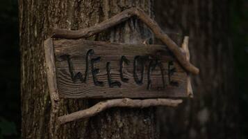 DĂ©tail de lâextĂ©rieur