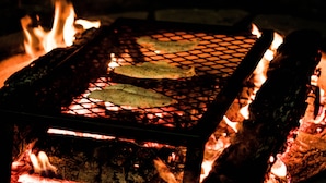 A grill with two pieces of food being cooked over an open flame. - Van Glamping - AC, Heat and Power! (Landrum)