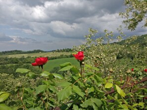 Terrain de l’hébergement 