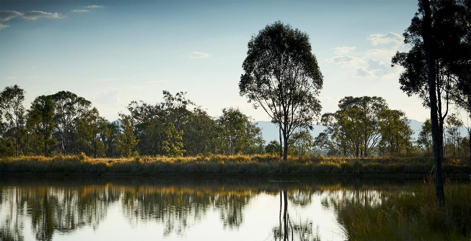 Wandin Valley Estate — image 16
