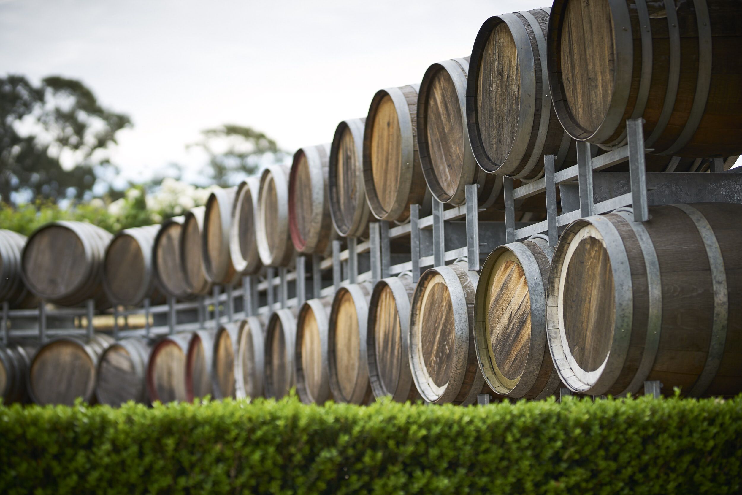 Wandin Valley Estate — image 17