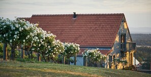 Exterior - Wandin Valley Estate (Lovedale)