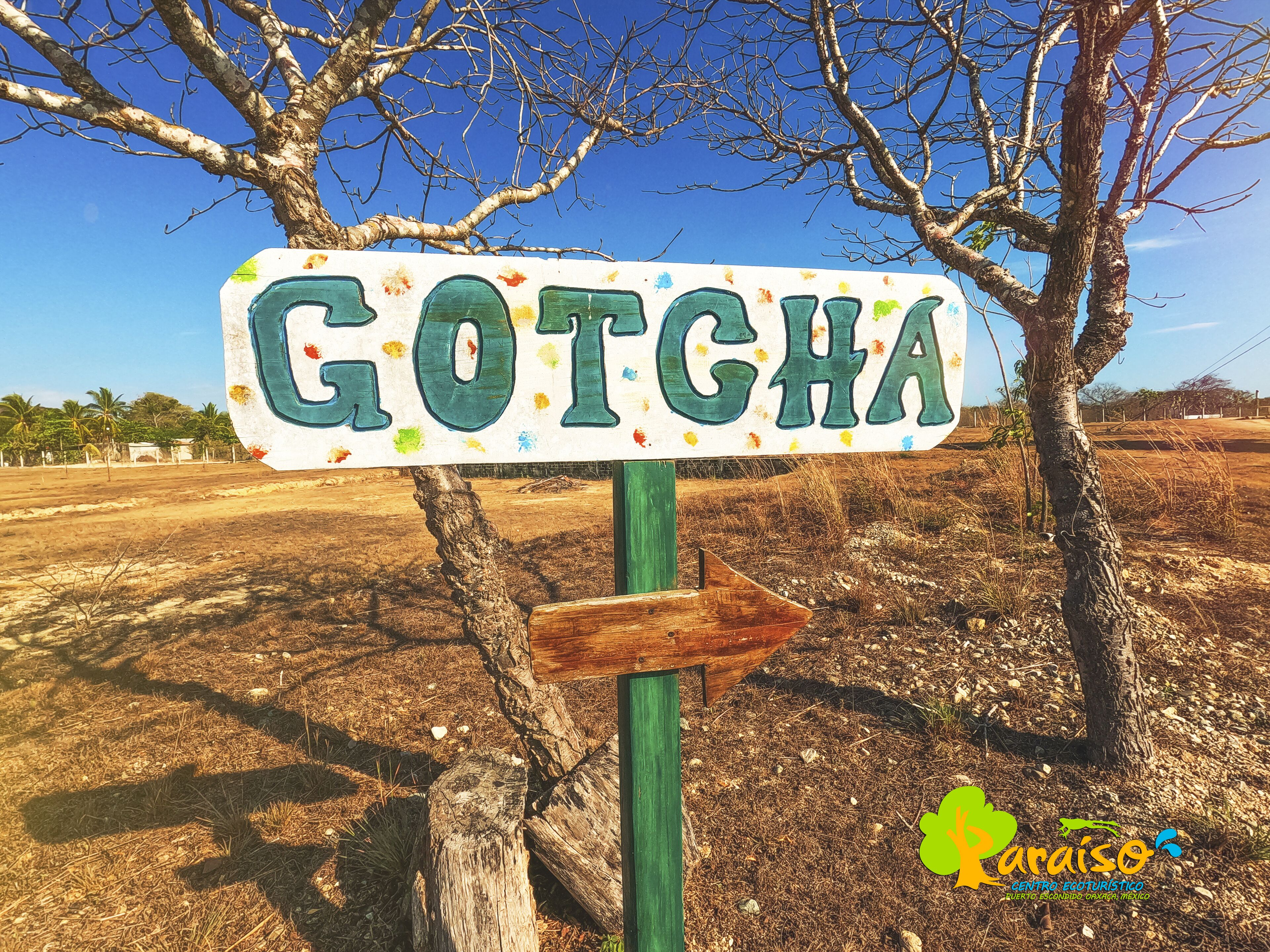 Foto - Casa Paraiso Hotel Boutique