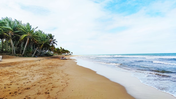 Ein sandiger Strand mit Fußabdrücken, Palmen und blauem Himmel.