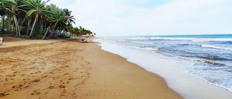 Beach nearby, sun loungers, beach towels