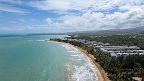 Playa en los alrededores, camastros y toallas de playa