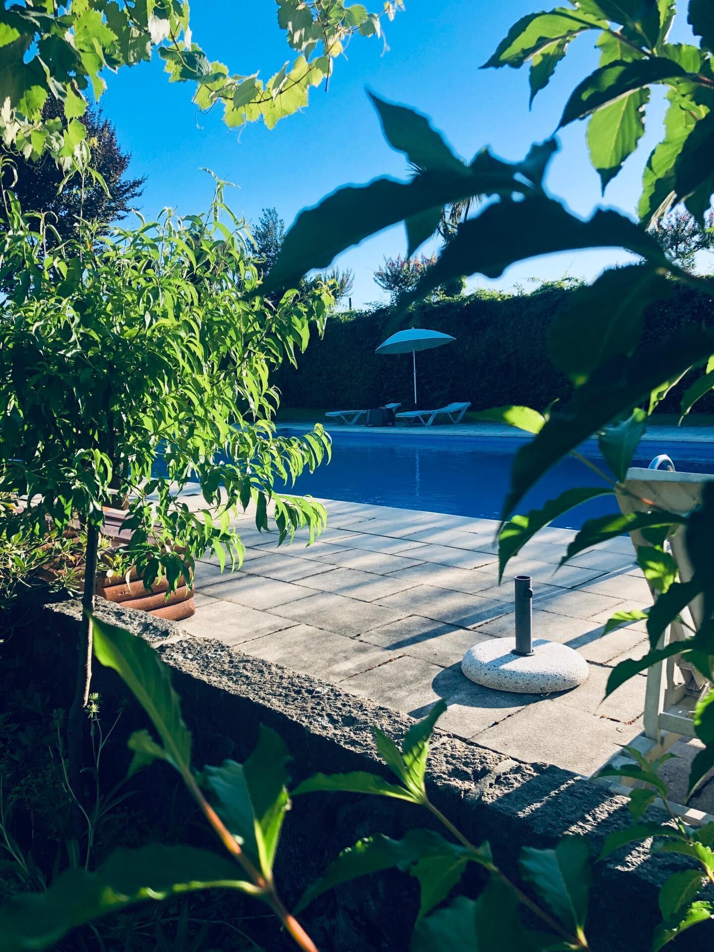 Zona de piscina bajo un cielo azul claro, rodeada de abundante vegetación y algunas sillas de descanso.