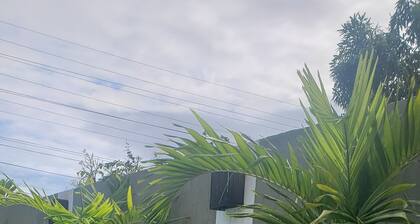 KESÄTALO, jolla on uima-allas, lähellä rantaa