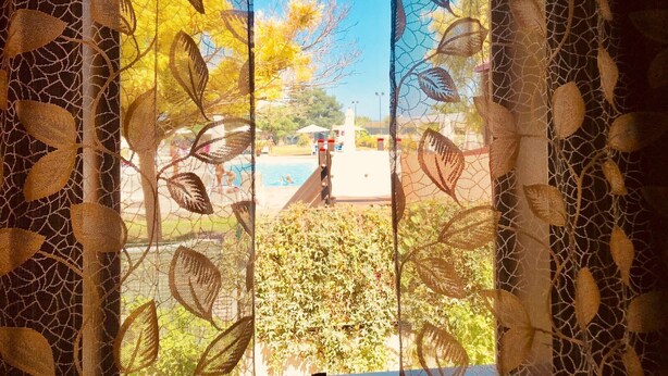 A view through a window with a leaf-patterned curtain, a pool, and a clear sky.