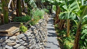 Caminho ladeado por bananeiras e um muro de pedra.