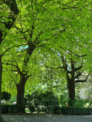 Property grounds - Country Bliss couples oasis. Outdoor chiminea in private garden, & sunset deck (Pyes Pa)