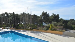Una piscina con borde de baldosas, rodeada de árboles y follaje.