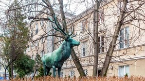 A bronze deer statue in an urban setting with buildings and leafless trees in the background. - Stylish Apartment | Air Conditioning | Close Center (Warszawa)